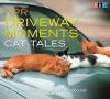 NPR_driveway_moments