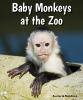 Baby_monkeys_at_the_zoo