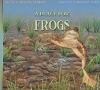A_place_for_frogs