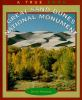 Great_Sand_Dunes_National_Monument