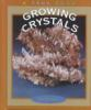 Growing_crystals
