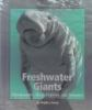 Freshwater_giants