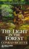 The_light_in_the_forest