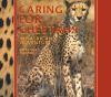 Caring_for_cheetahs