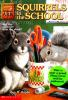 Squirrels_in_the_school