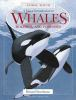 A_visual_introduction_to_whales
