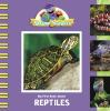 My_first_book_about_reptiles