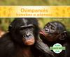 Chimpance__s_bonobos