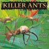 Killer_ants