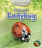 Life_story_of_a_ladybug