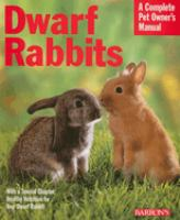 Dwarf_rabbits
