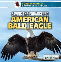 Saving_the_endangered_American_bald_eagle