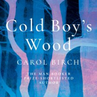 Cold_Boy_s_Wood