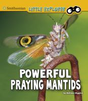 Powerful_praying_mantids