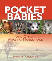 Pocket_babies