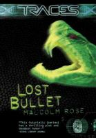 Lost_bullet