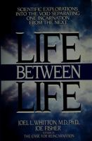 Life_between_life
