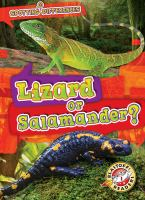 Lizard_or_salamander_