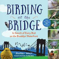Birding_at_the_bridge