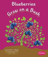 Blueberries_grow_on_a_bush