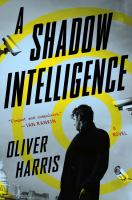 A_shadow_intelligence