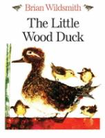 The_little_Wood_Duck