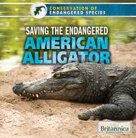 Saving_the_endangered_American_alligator