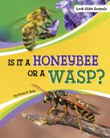 Is_it_a_honeybee_or_a_wasp_