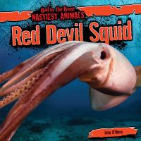 Red_devil_squid