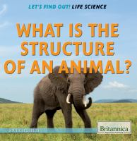 What_is_the_structure_of_an_animal_