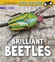 Brilliant_beetles