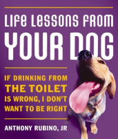 Life_Lessons_From_Your_Dog